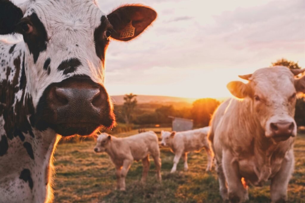 Stijn Te Strake UdhpcfImQ9Y Unsplash 1024x680